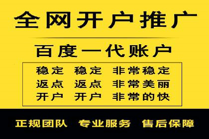 SEM推广案例：数据分析与优化